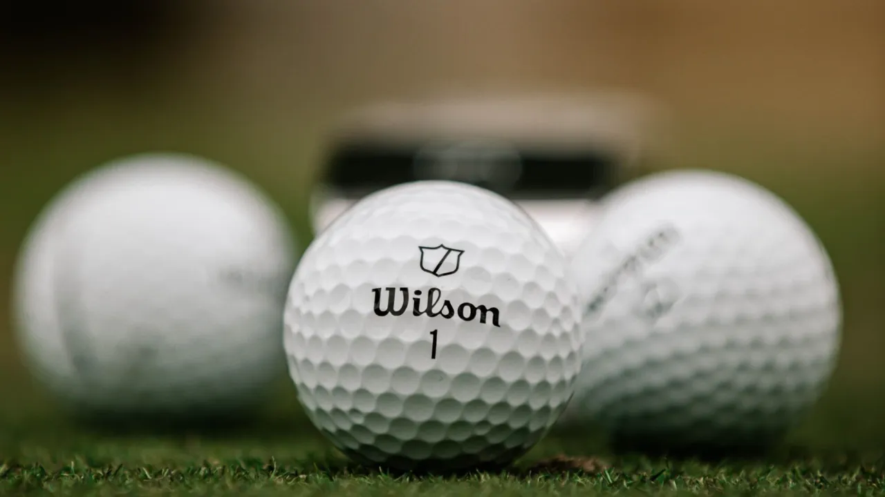 wilson staff model golf ball
